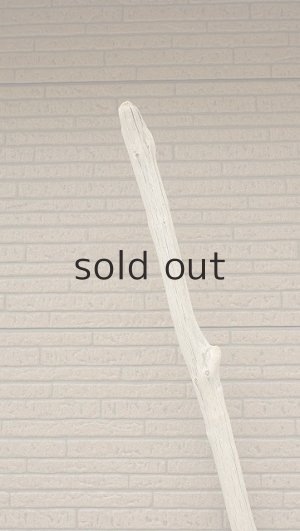 画像5: 幹流木・長尺