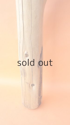 画像2: 幹流木・丸太