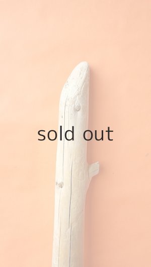 画像5: 幹流木・丸太