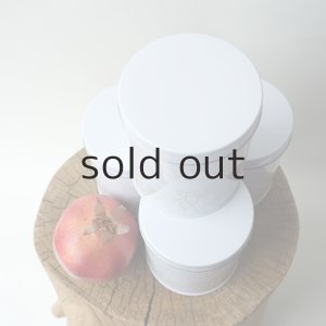 画像7: プラントハンガー・オリジナルスチール丸缶（穴開きタイプ）＋多肉植物・乙女心