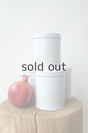 画像5: プラントハンガー・オリジナルスチール丸缶（穴開きタイプ）＋多肉植物・乙女心