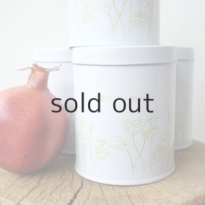 画像8: プラントハンガー・オリジナルスチール丸缶（穴開きタイプ）＋多肉植物・乙女心