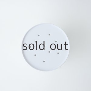 画像6: プラントハンガー・オリジナルスチール丸缶（穴開きタイプ）＋多肉植物・乙女心