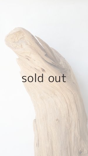 画像5: 大型　変形