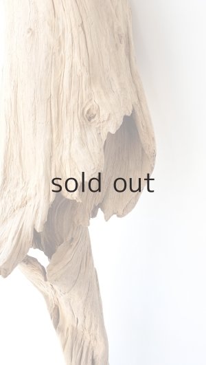 画像6: 大型　変形