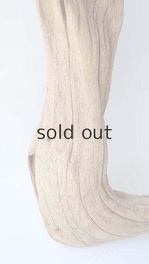 画像3: 大型　変形