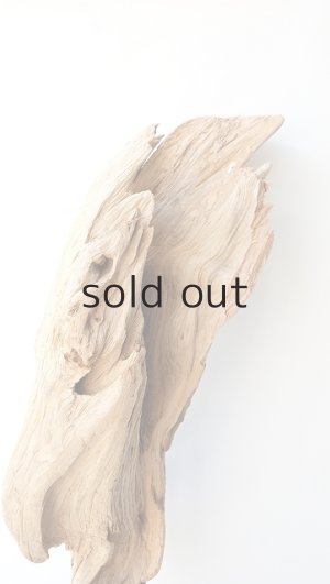 画像7: 大型　変形