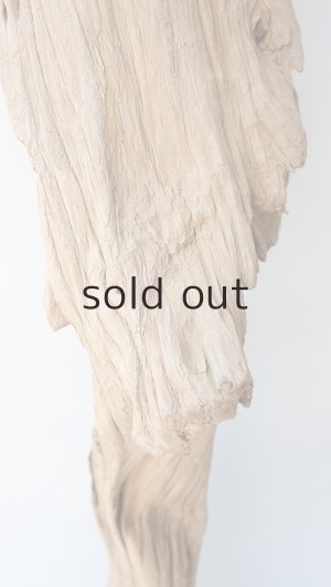 画像4: 大型　変形