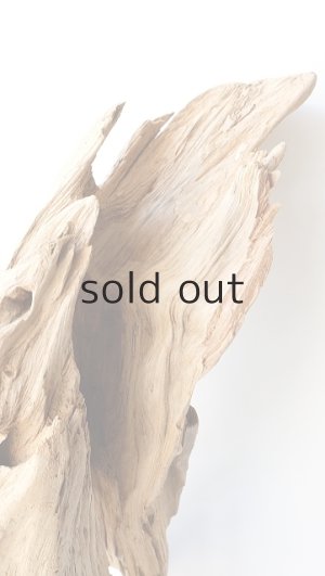 画像11: 大型　変形