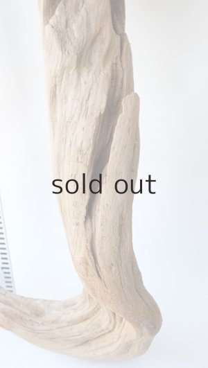 画像9: 大型　変形