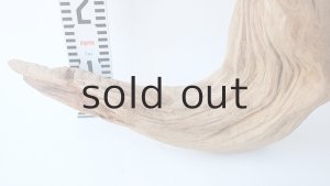 画像8: 大型　変形