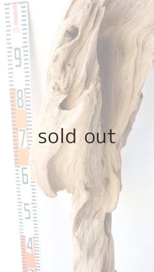 画像10: 大型　変形