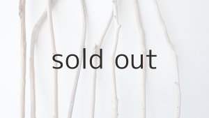 画像3: 枝流木セット