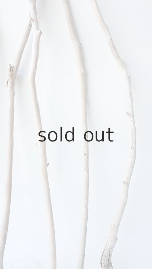 画像6: 枝流木セット