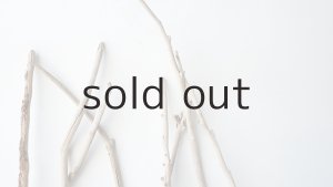 画像4: 枝流木セット