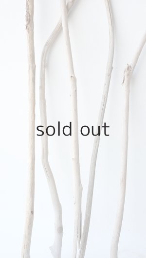 画像5: 枝流木セット