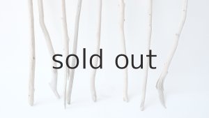 画像2: 枝流木セット