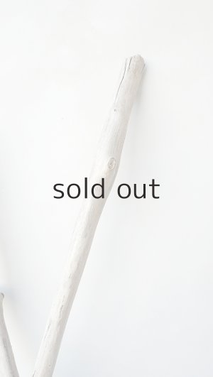 画像4: 小枝流木