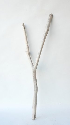画像1: 小枝流木