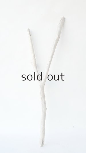 画像1: 小枝流木