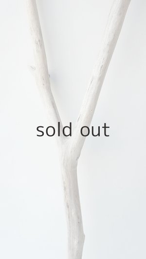 画像3: 小枝流木