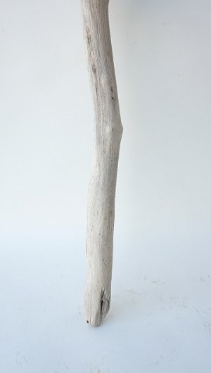 画像2: 小枝流木