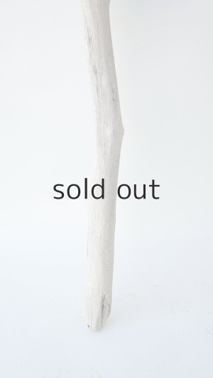 画像2: 小枝流木