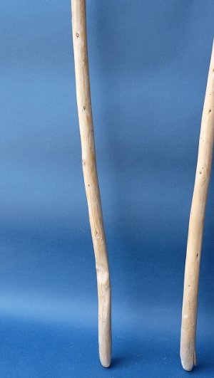 画像3: 棒流木セット