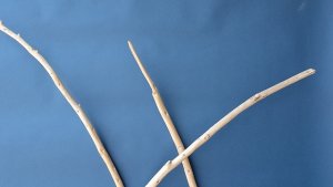 画像5: 棒流木セット