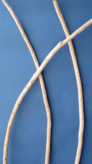 画像4: 棒流木セット