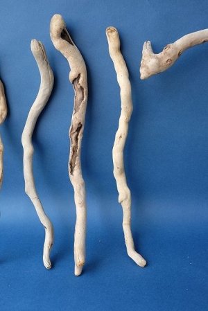 画像4: 流木根セット