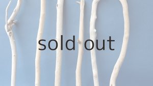 画像3: 小枝流木セット