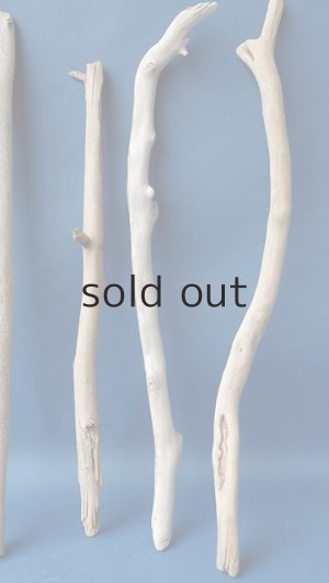 画像6: 小枝流木セット