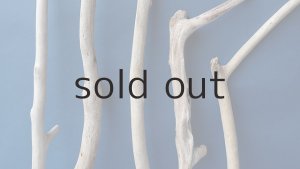 画像3: 小枝流木セット