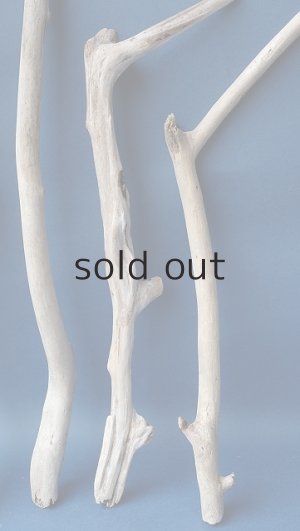 画像6: 小枝流木セット