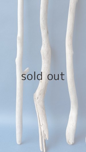 画像5: 小枝流木セット