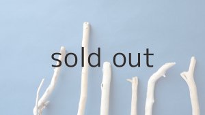 画像4: 小枝流木セット