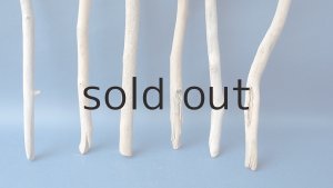 画像2: 小枝流木セット