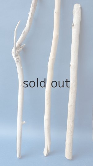 画像5: 小枝流木セット