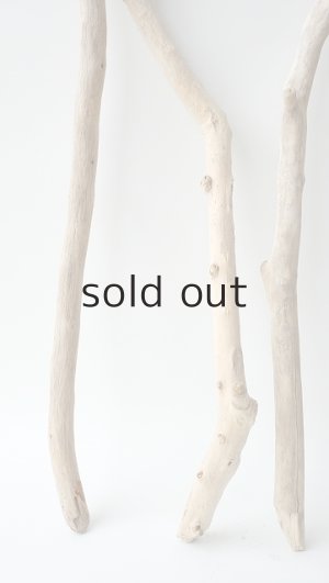 画像5: 小枝流木セット