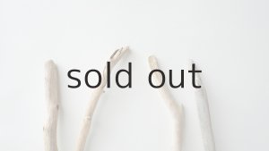 画像4: 小枝流木セット