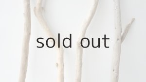 画像3: 小枝流木セット