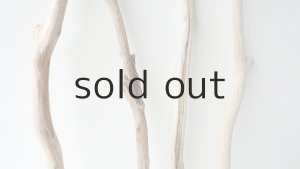 画像3: 小枝流木セット