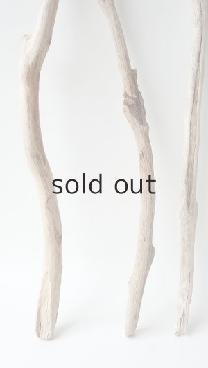 画像5: 小枝流木セット