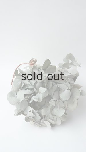 画像3: Dry plants for decor ユーカリミニリース（銀丸葉）