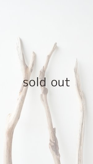 画像7: 小枝流木セット