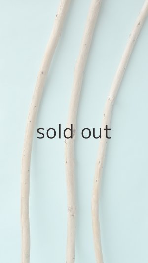 画像3: 棒流木セット