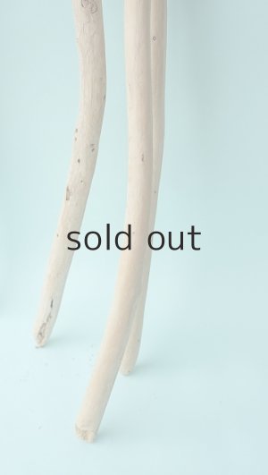 画像5: 棒流木セット