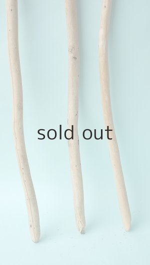 画像2: 棒流木セット