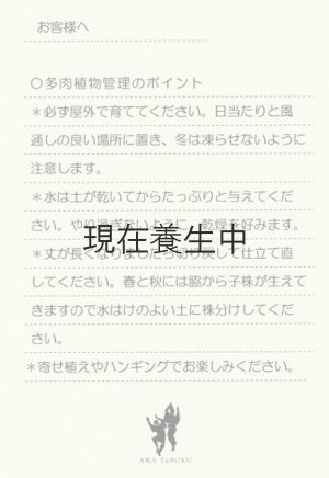 管理のポイントを記載したカードをお付けいたします。